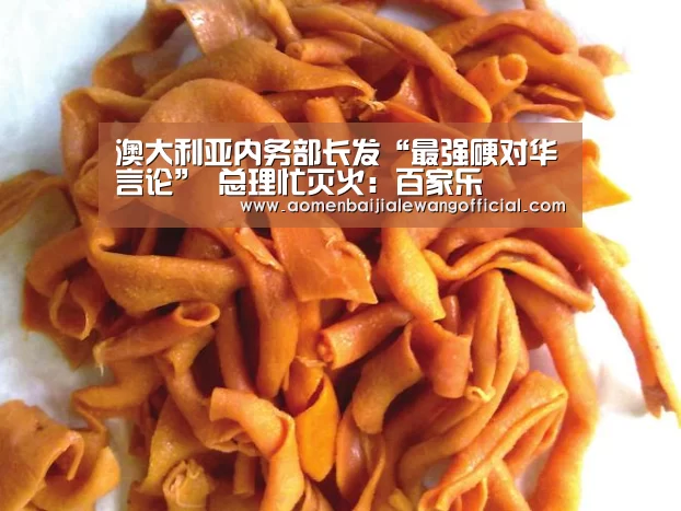 澳大利亚内务部长发“最强硬对华言论” 总理忙灭火:百家乐(图1) 百家乐官网