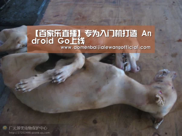 【百家乐直播】专为入门机打造 Android Go上线(图3) 百家乐网站