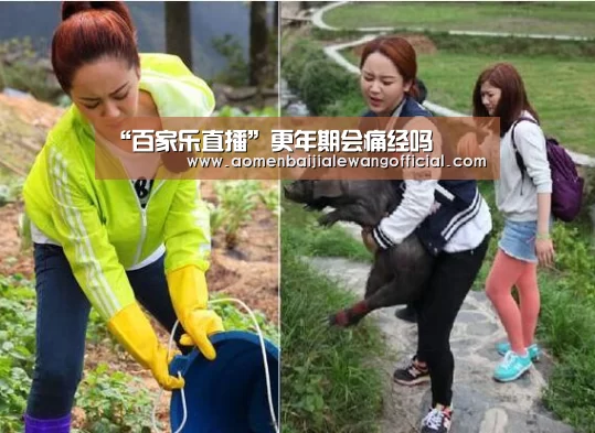 百家乐官网