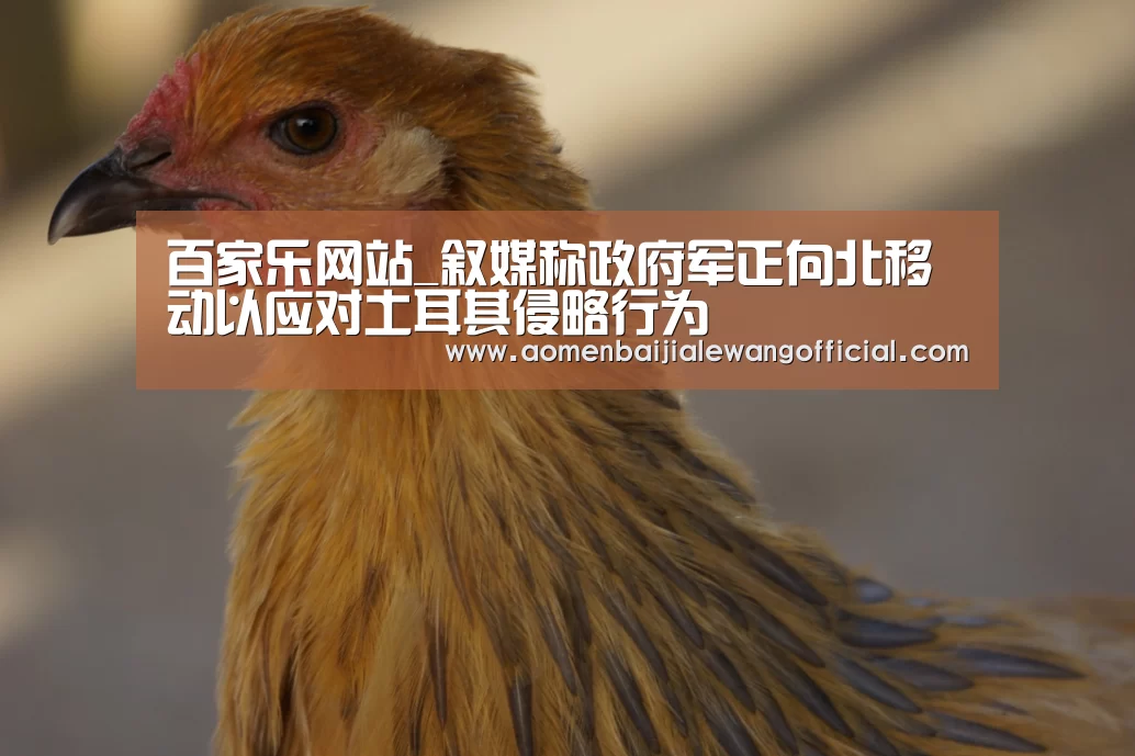 百家乐网站