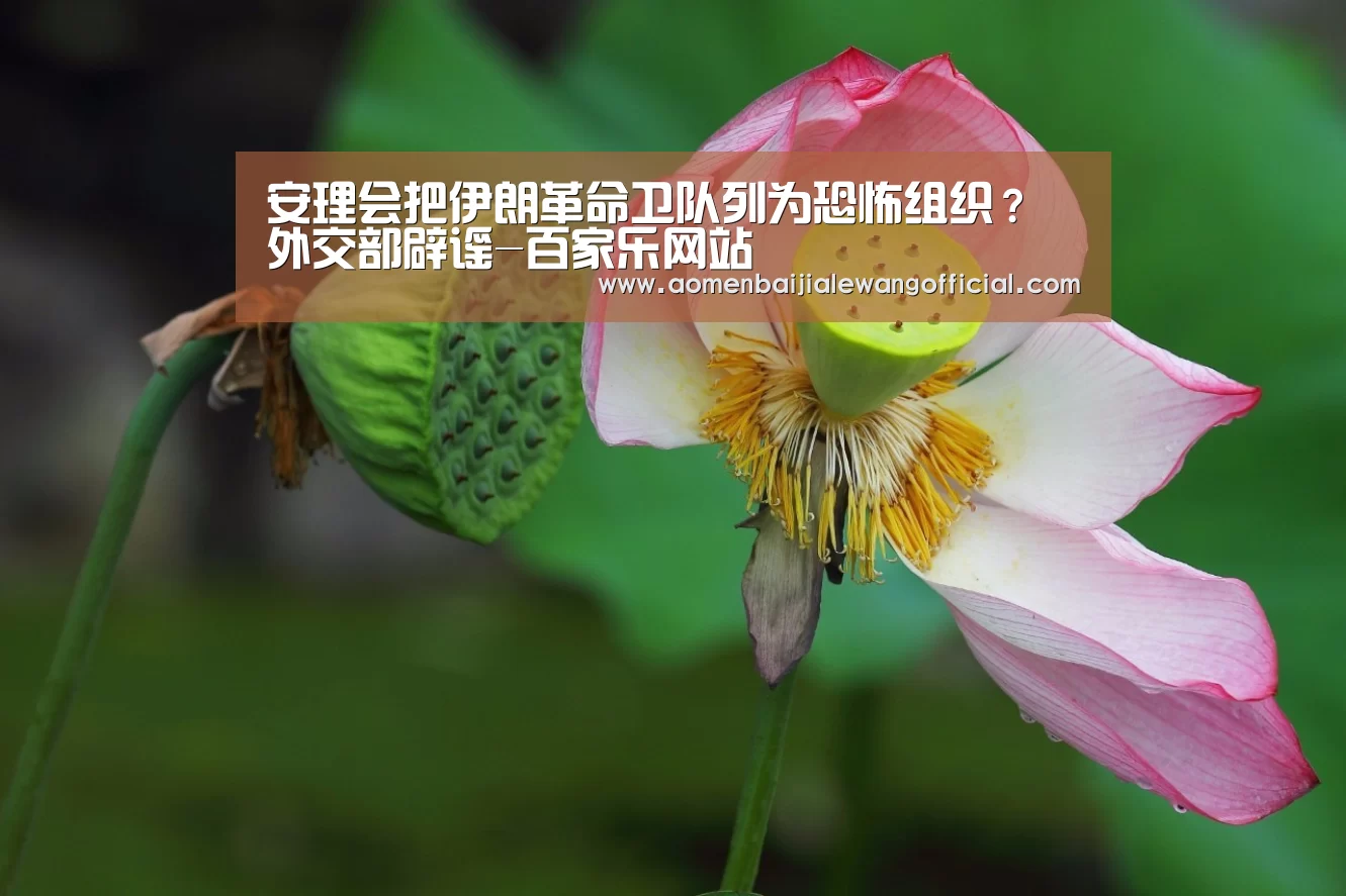 安理会把伊朗革命卫队列为恐怖组织?外交部辟谣-百家乐网站(图2) 百家乐