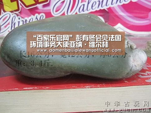 “百家乐官网”彭有冬会见法国环境事务大使亚纳·维尔林(图2) 百家乐直播