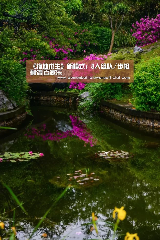 《绝地求生》新模式:8人组队/步枪翻倍|百家乐(图3) 百家乐官网