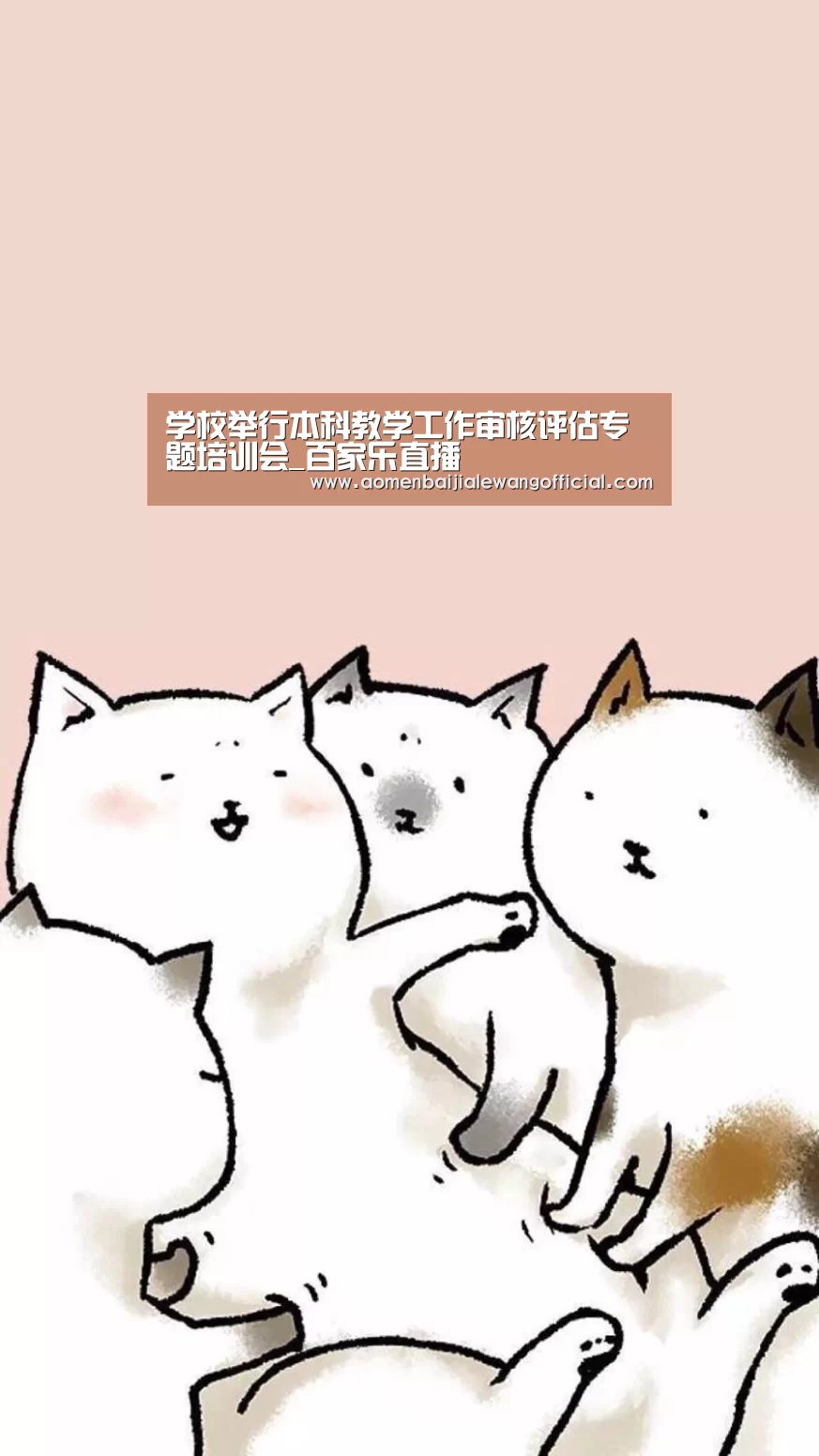 百家乐网站
