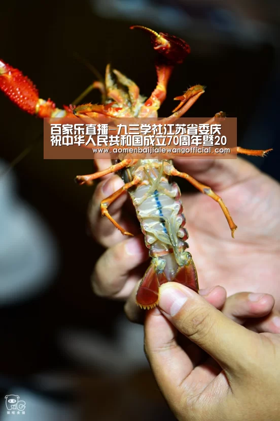 百家乐直播-九三学社江苏省委庆祝中华人民共和国成立70周年暨2019年教师节活动在我校举行(图2) 百家乐