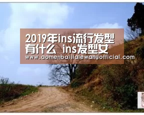 百家乐