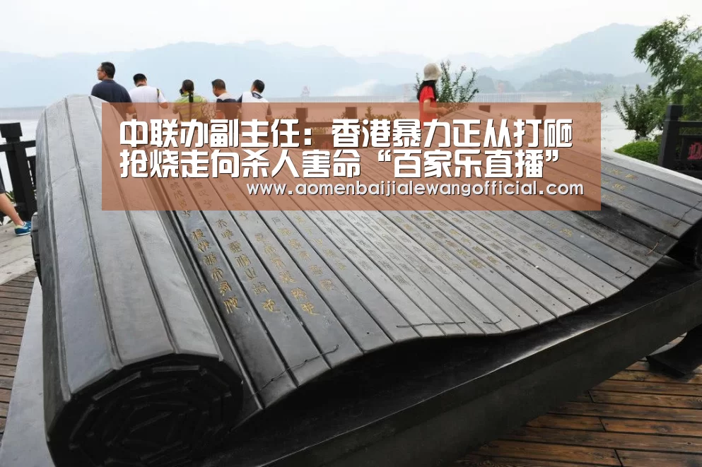 中联办副主任:香港暴力正从打砸抢烧走向杀人害命“百家乐直播”(图2) 百家乐