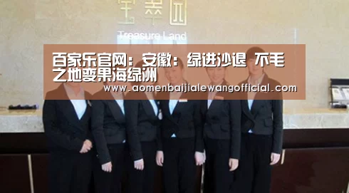 百家乐